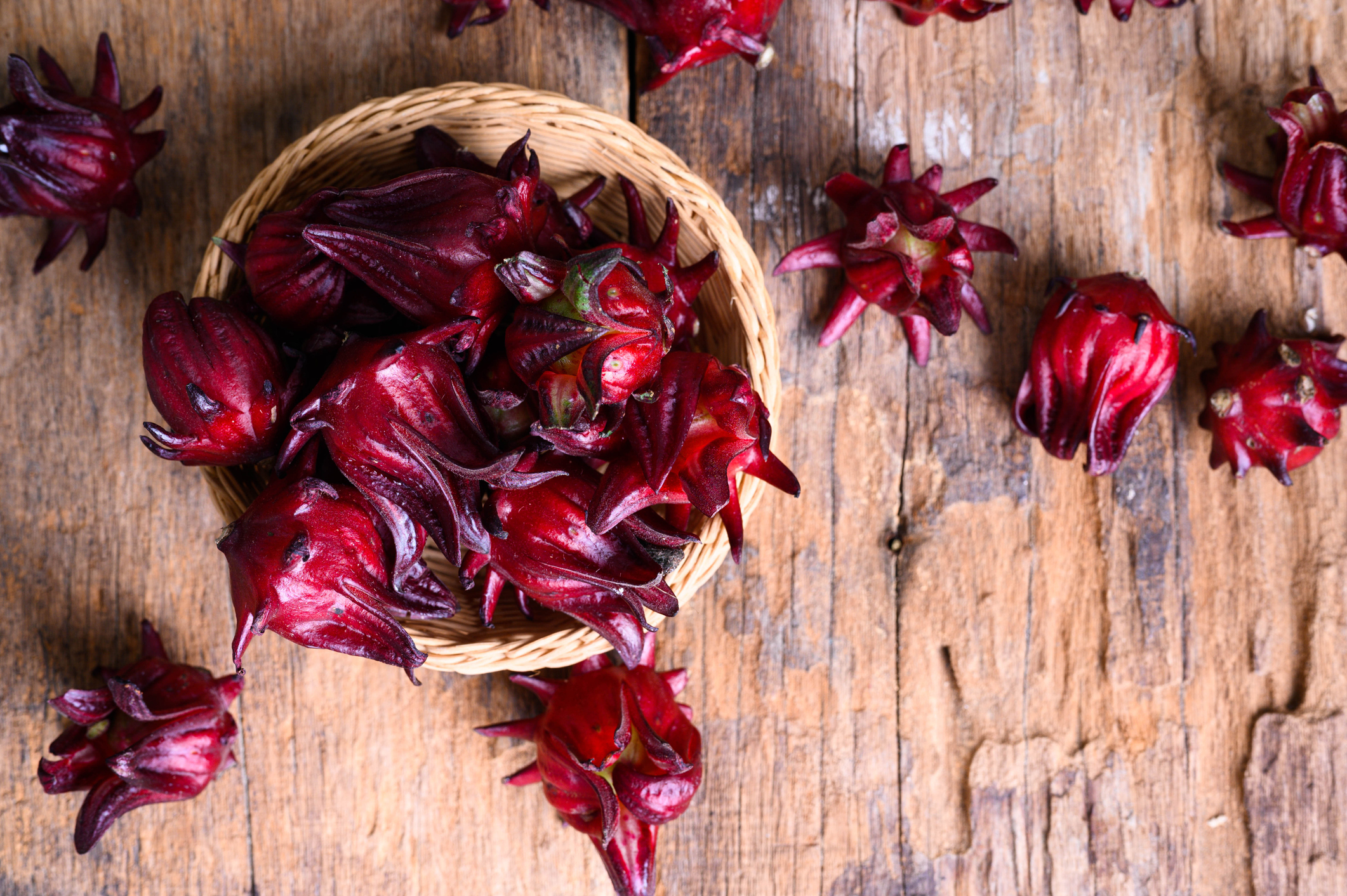 Vlezige bloemkelk van Hibiscus sabdariffa