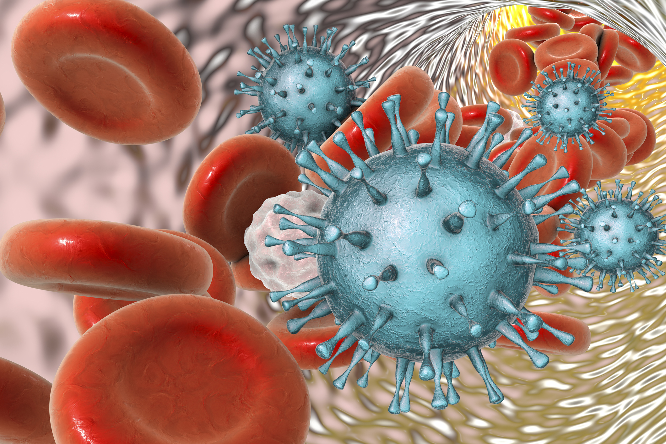 Cytomegalovirus in het bloed