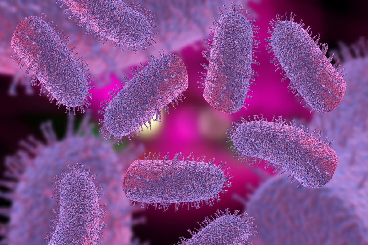 Lyssavirus - Lyssavirus - 3D-weergave van hondsdolheidsvirussen