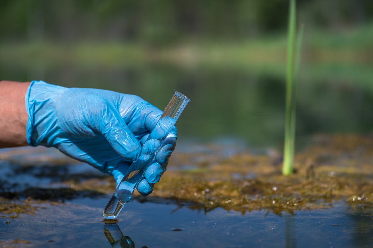 Gehandschoende hand, die een reageerbuis vasthoudt en een watermonster neemt