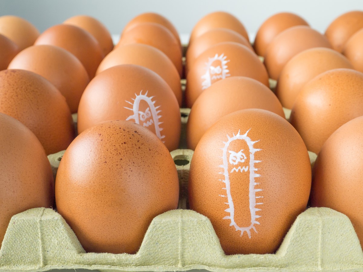 Salmonella getekend op een ei, eierwikkel