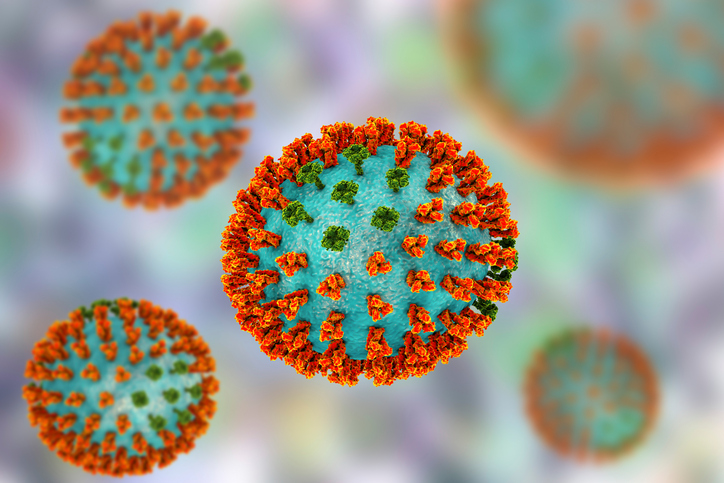 Model griepvirus