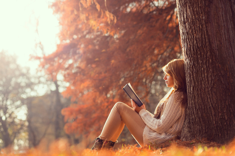 vrouw zittend in het bos, leunend tegen een boom een boek lezend in de herfst