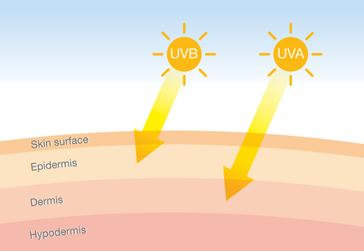 ultraviolette straling die de huid binnendringt, schematische voorstelling