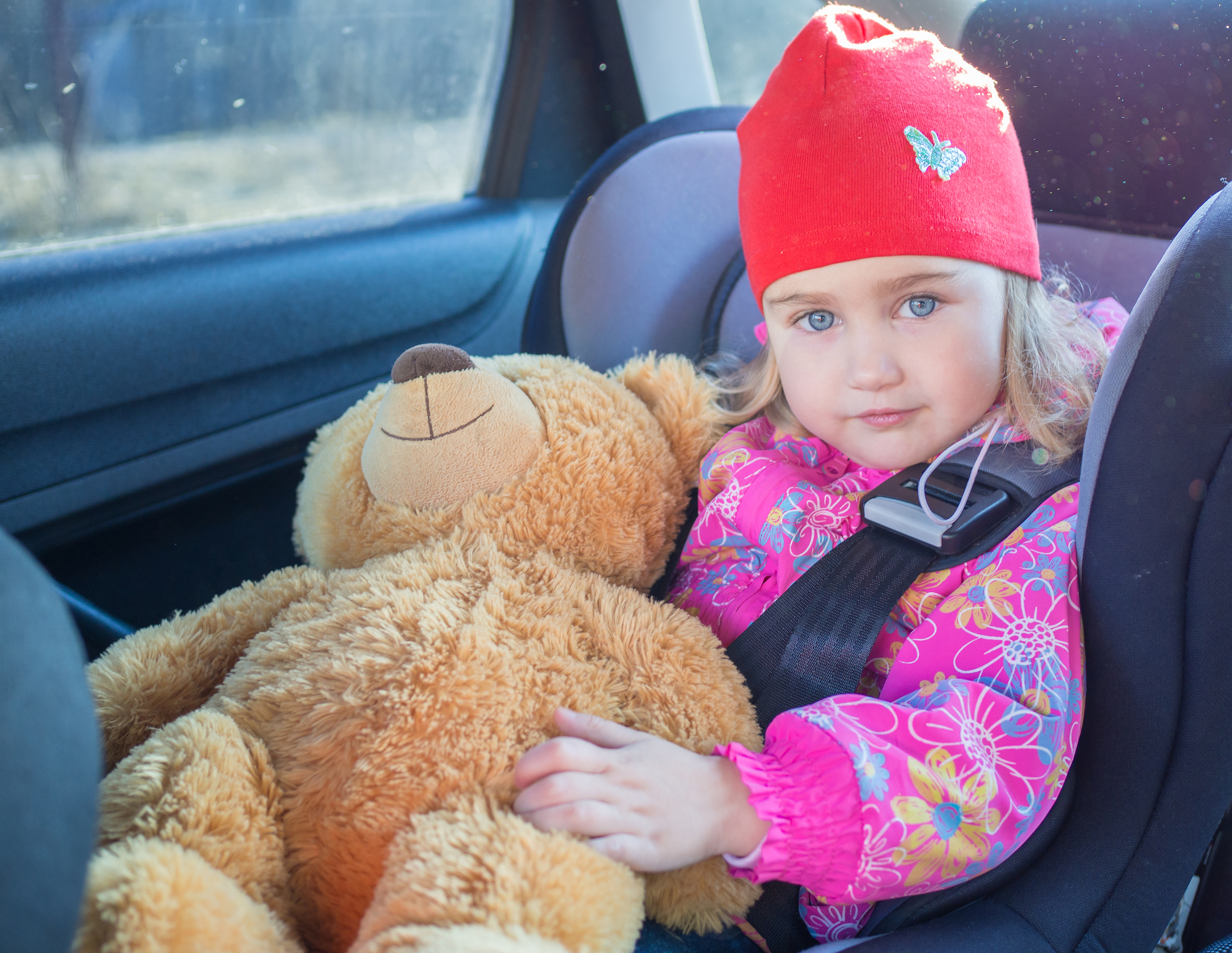 Baby in autostoeltje, zittend, kijkend, tevreden blik, teddybeer vasthoudend