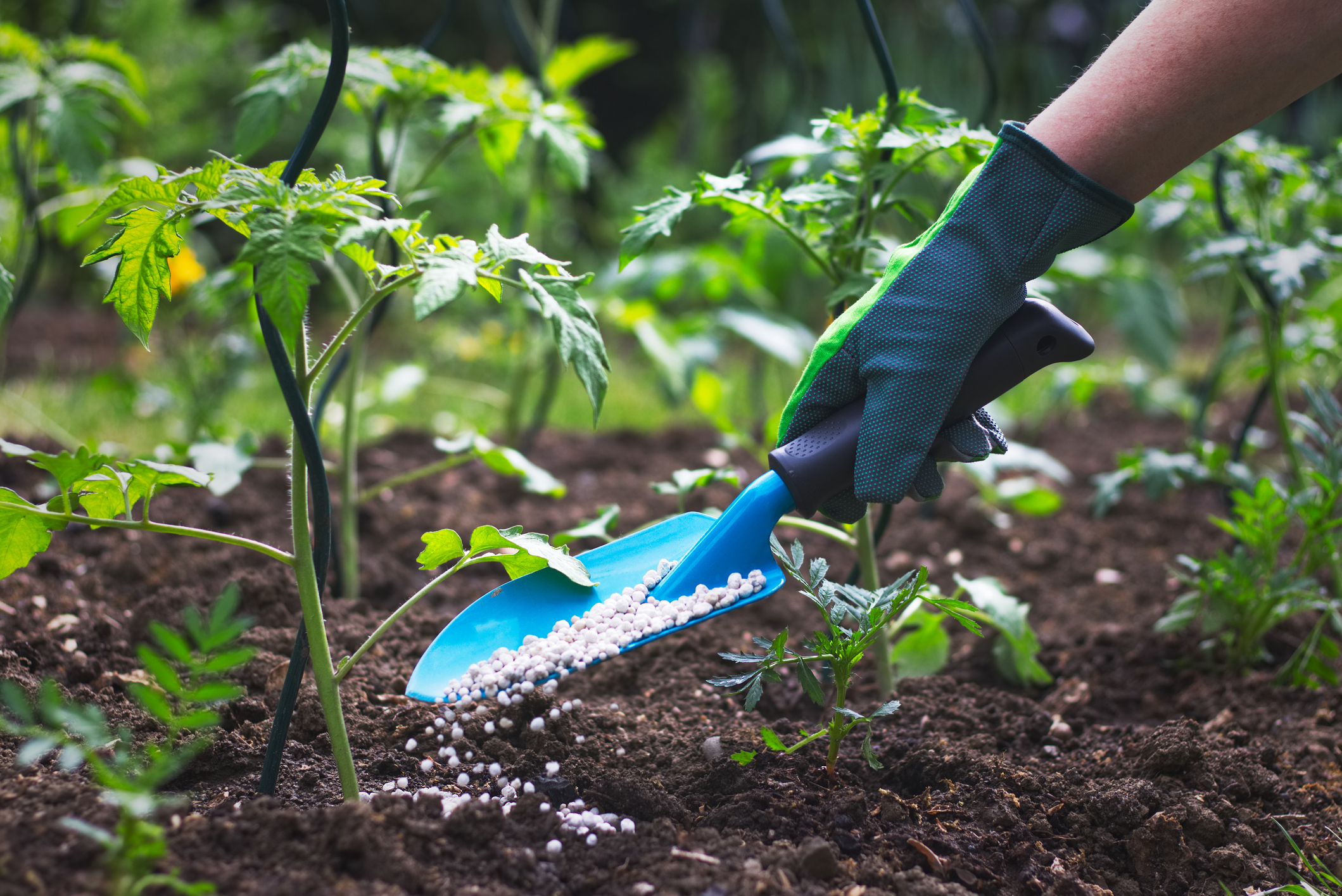 Tegenwoordig wordt fosfor heel vaak industrieel gebruikt als ingrediënt in meststoffen of pesticiden.