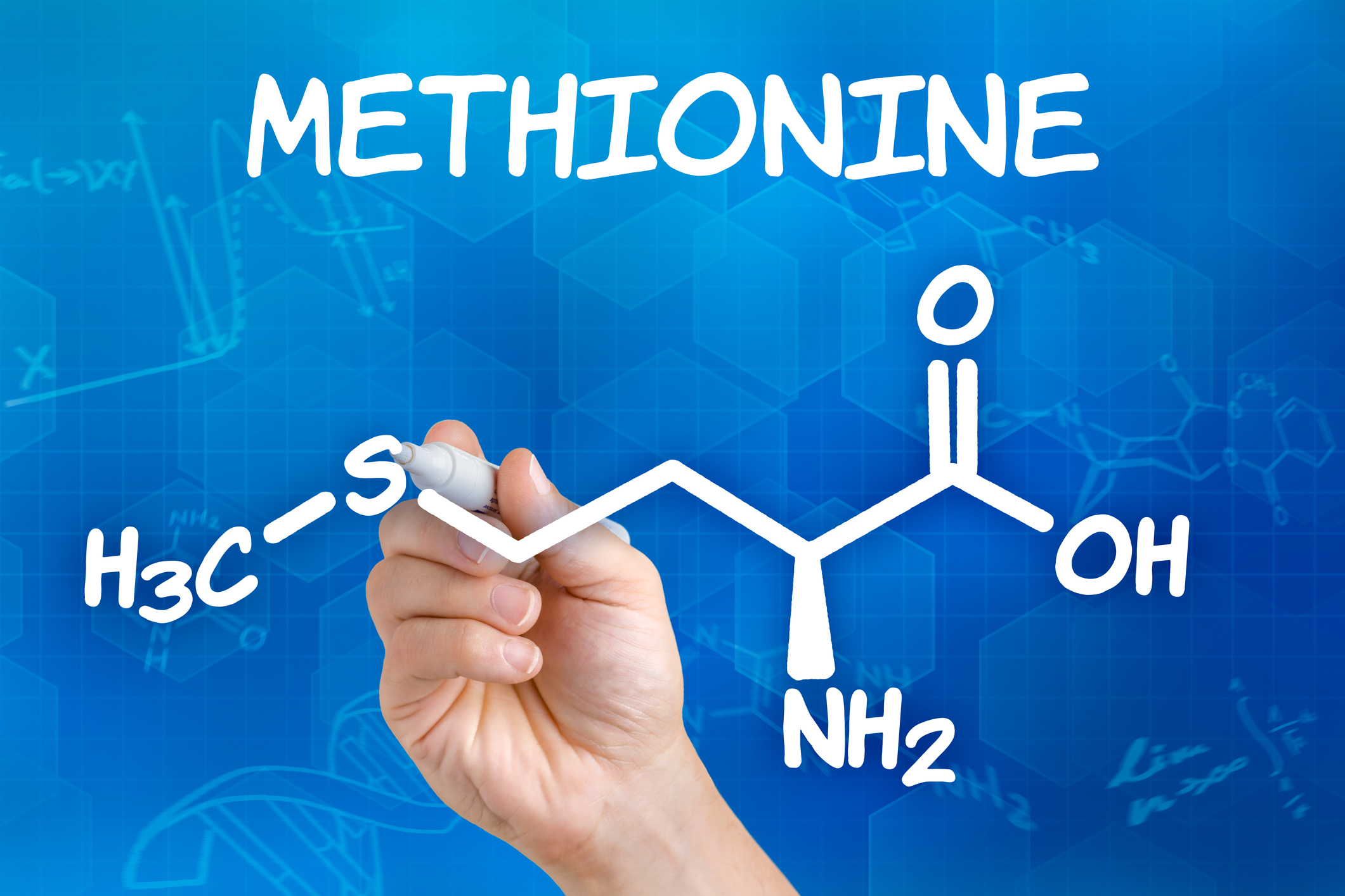 Bijna alle zwavel komt het lichaam binnen via twee aminozuren - methionine of cysteïne.