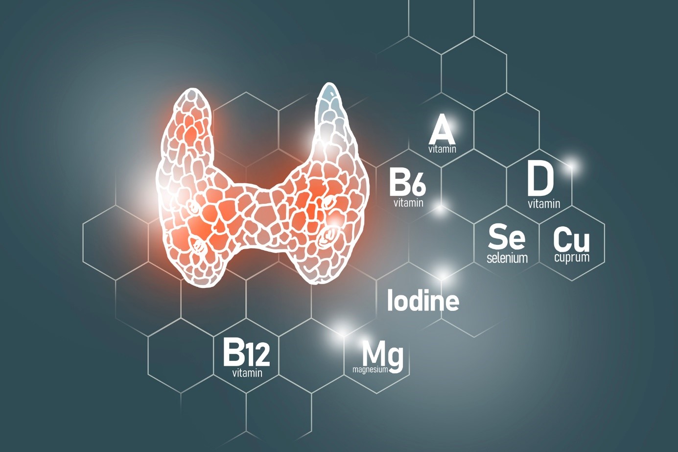 Selenium als belangrijk element voor een goede schildklierfunctie