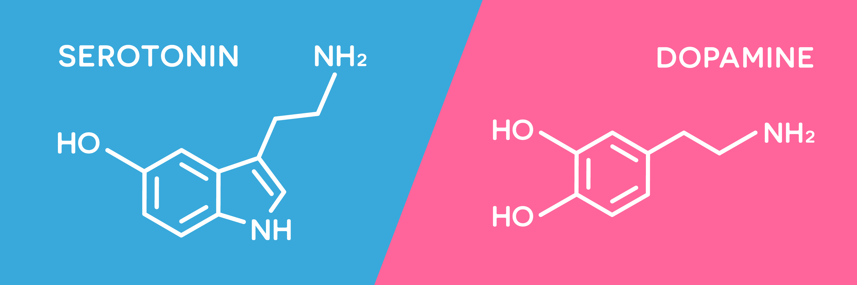 Een onevenwicht in het serotonine- of dopamineniveau kan leiden tot angststoornissen. 