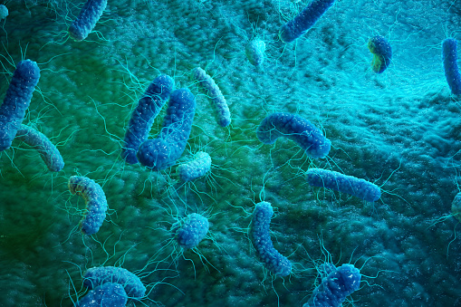 microscopisch vergrote bacteriën