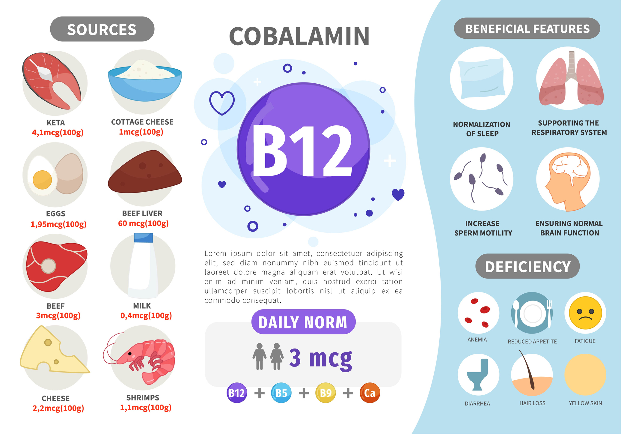 Bronnen van vitamine B12