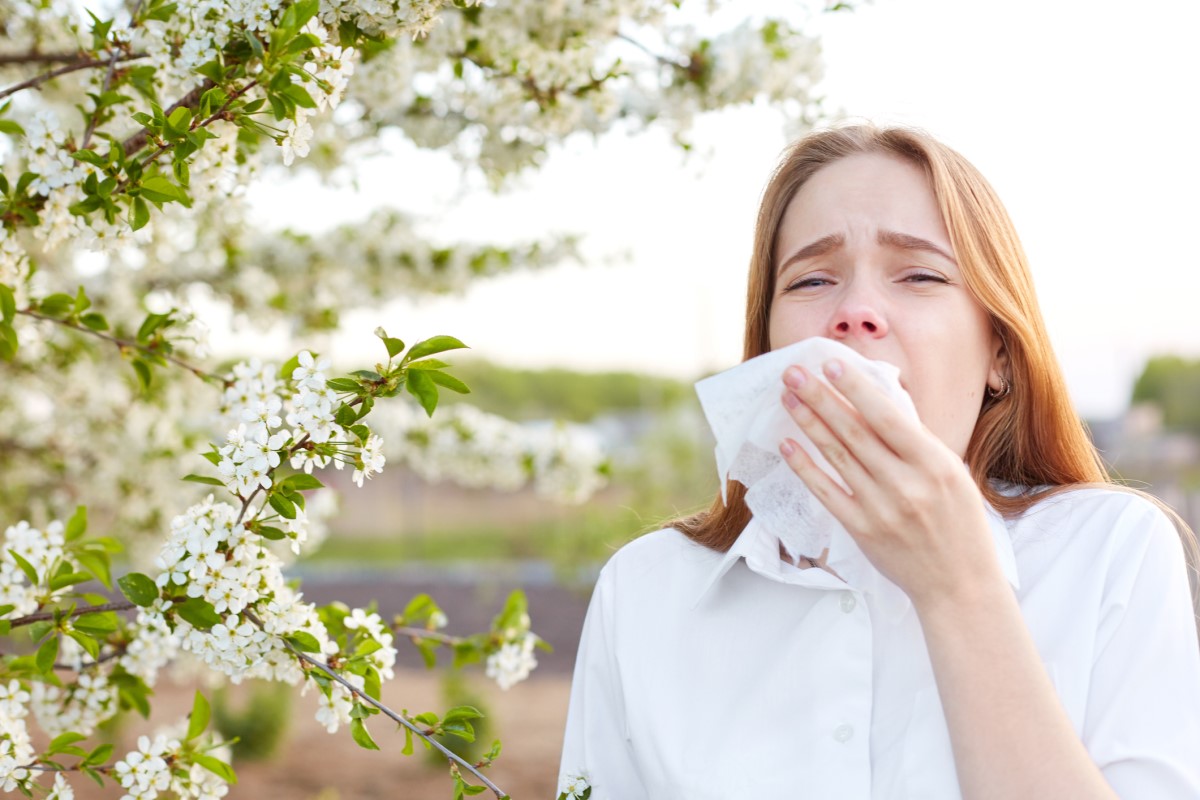 Allergieën die vaak niezen en een loopneus veroorzaken, kunnen neusbloedingen veroorzaken