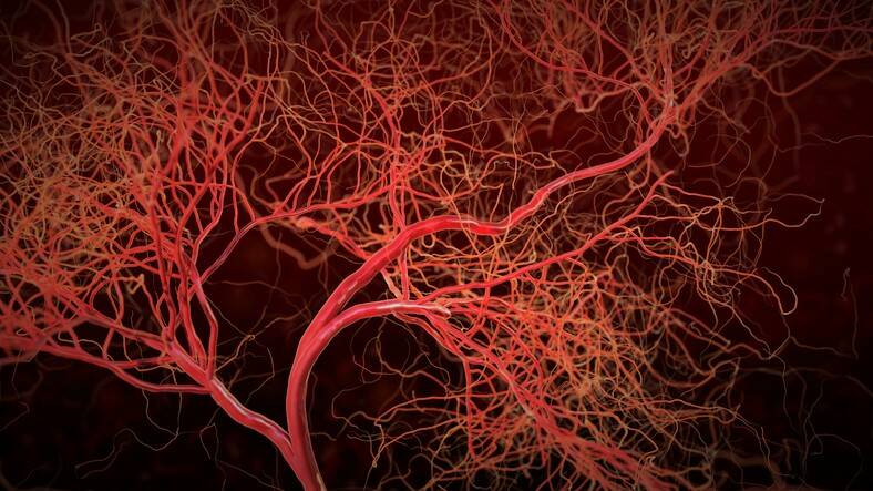 Wat zijn vasculitis en wat veroorzaakt ontstoken bloedvaten? + Symptomen, behandeling