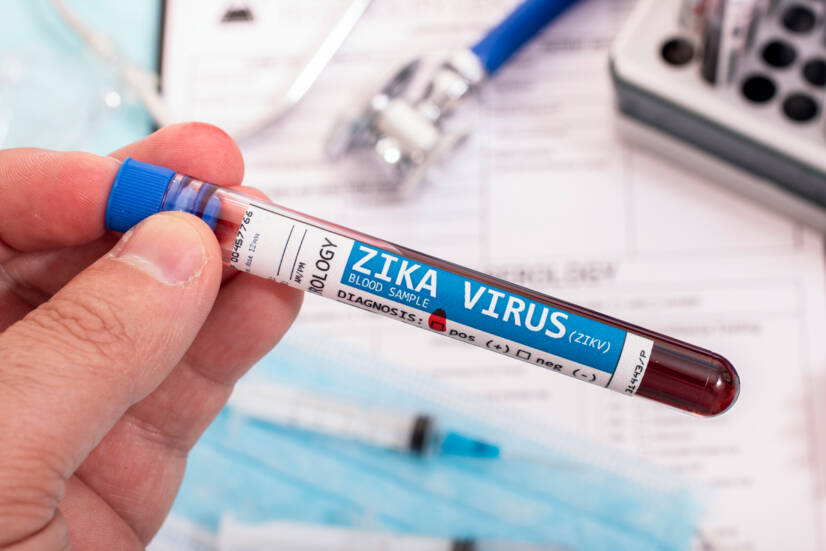 Zika-virus: wat is het, hoe wordt het overgedragen en wat zijn de symptomen?