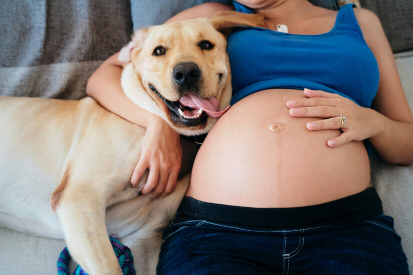 Zwangere vrouw en huisdieren. Foto bron: Getty Images