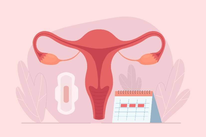 Hoe werkt de menstruatiecyclus? Lengte en fasen van de cyclus + symptomen