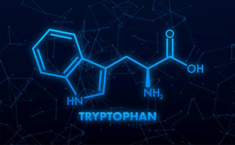 L-tryptofaan en de effecten ervan op het lichaam: helpt het bij de stemming en de slaap?