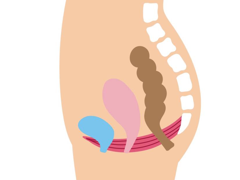 Bekkenbodem: wat is de functie en het belang ervan bij vrouwen + Oefeningen voor versterking en ontspanning